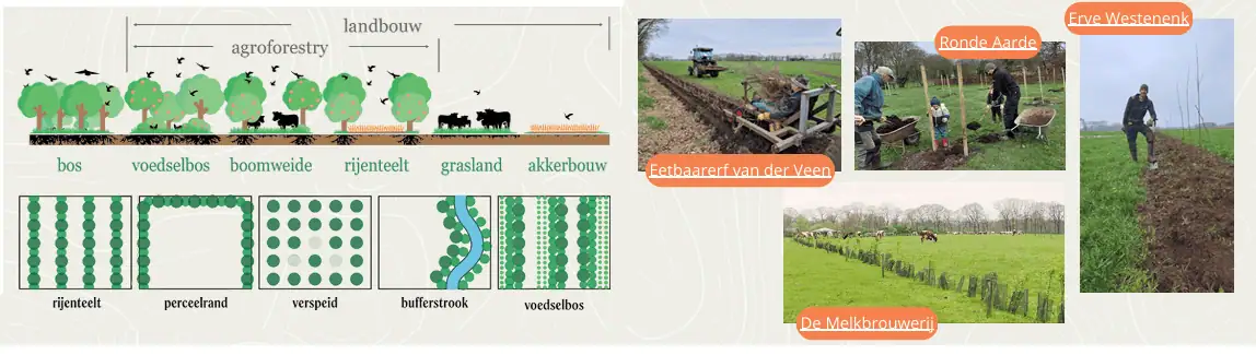 Agroforestry handreiking beleidsmakers