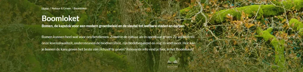 Boomloket