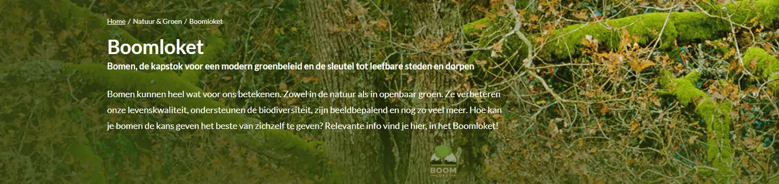 Boomloket