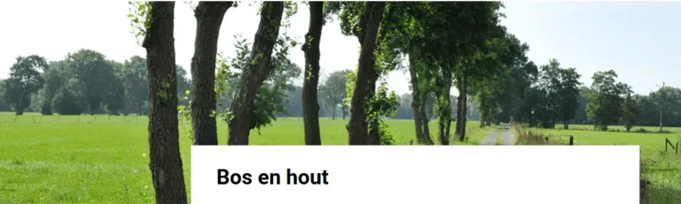 Groningen subsidie bos & hout