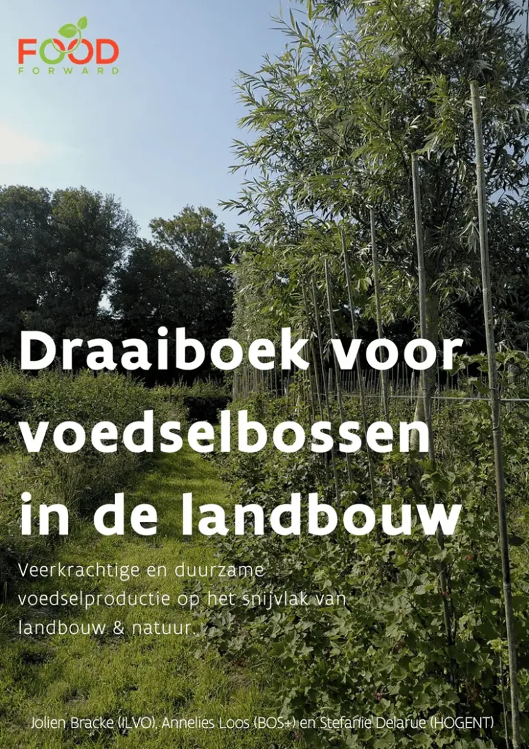Draaiboek voedselbossen