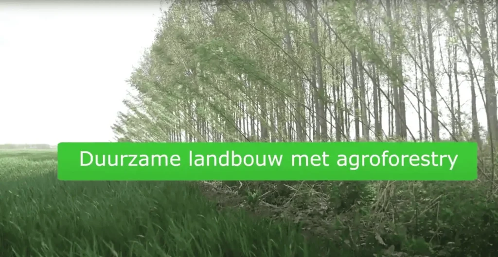 WUR agroforestry introvideo
