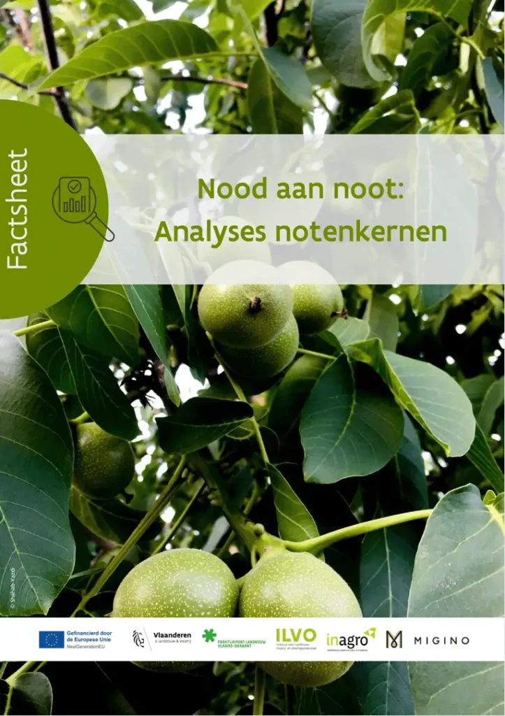 Nood aan noot