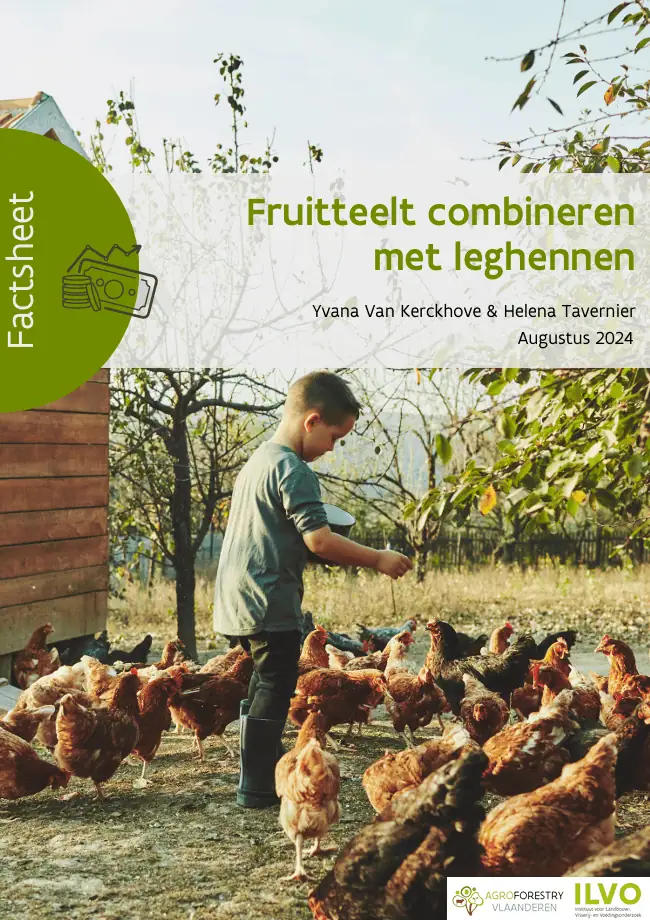 fruitteelt leghennen