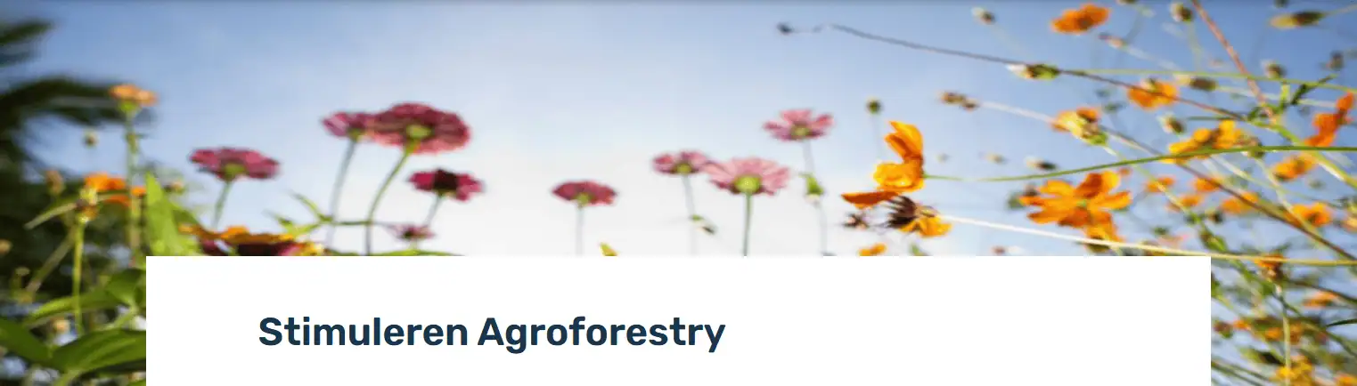 Subsidie agroforestry Overijssel