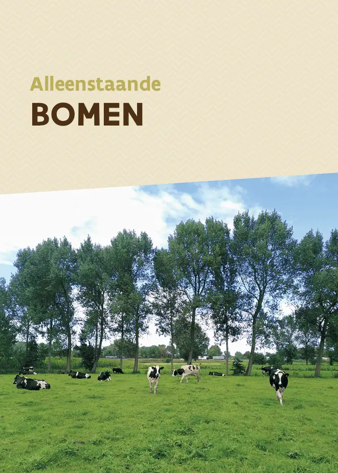 alleenstaande bomen -weidescherm