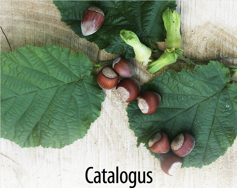 catalogus noten