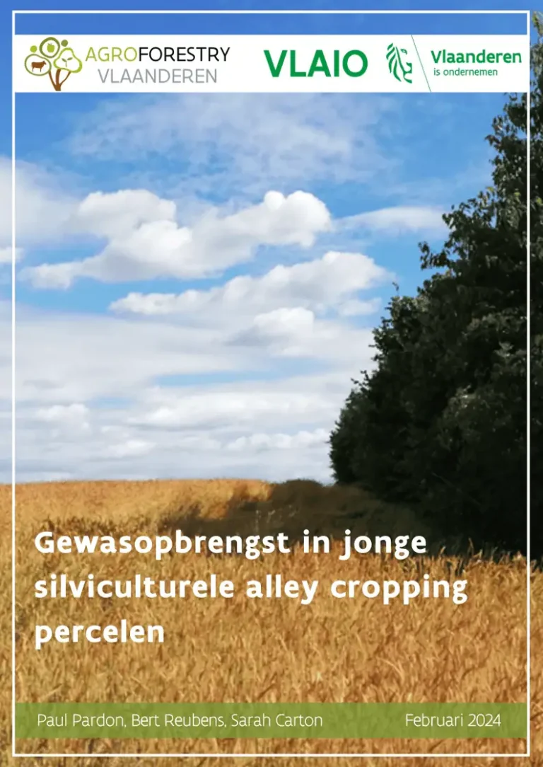 gewasopbrengst strokenteelt