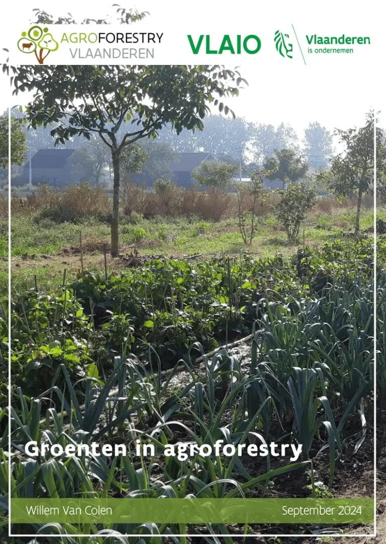 groenten in agorforestry