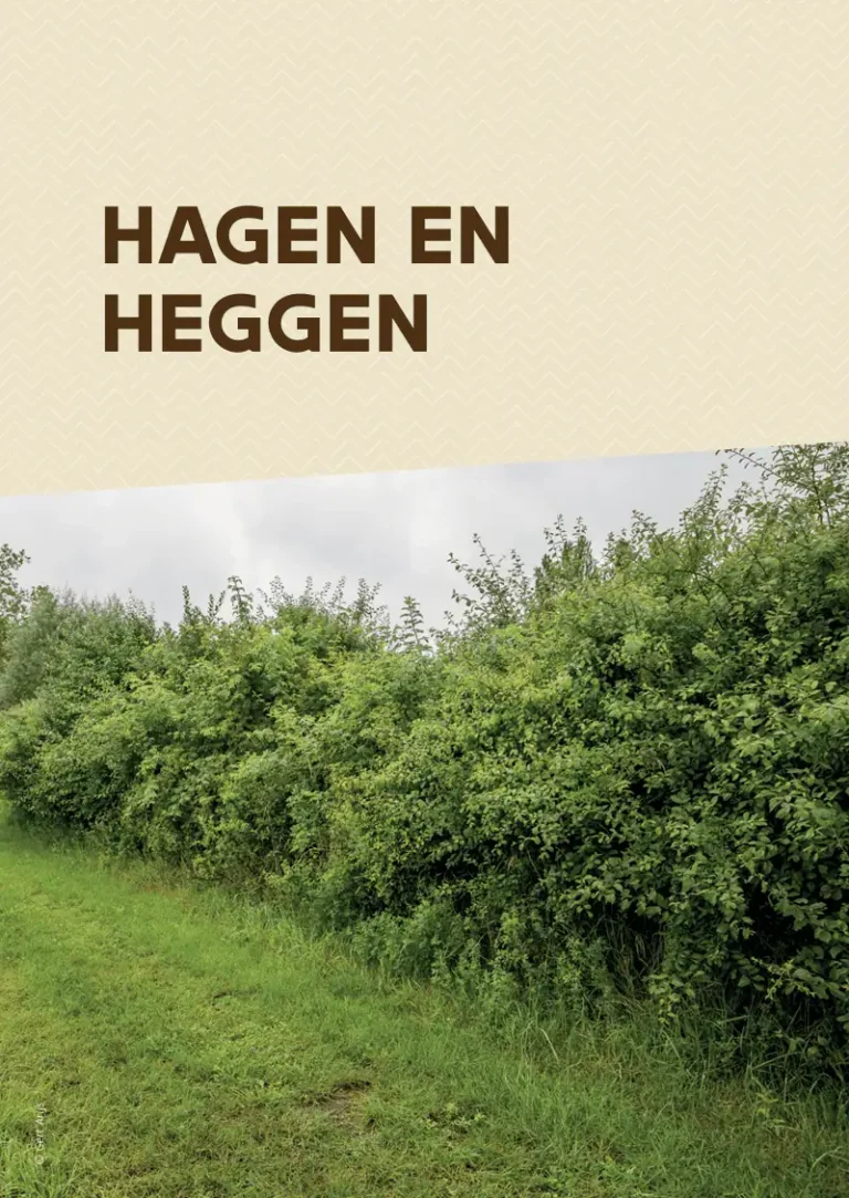 hagen en heggen -weidescherm