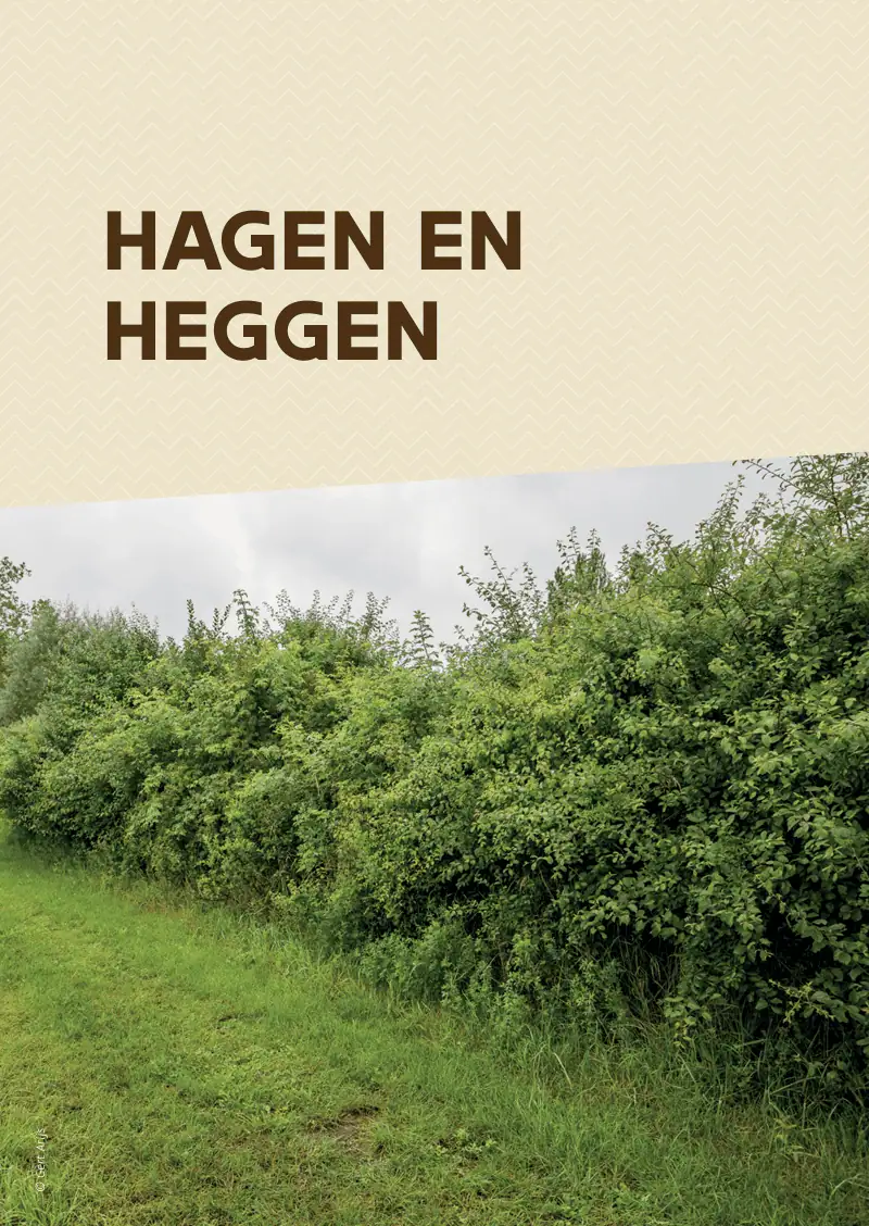 hagen en heggen -weidescherm