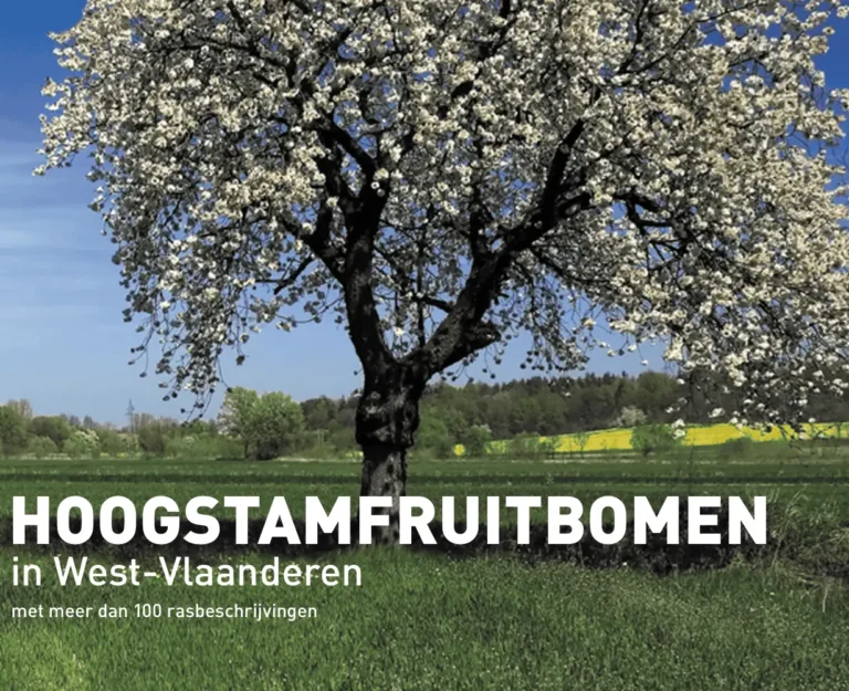 hoogstamfruitbomen