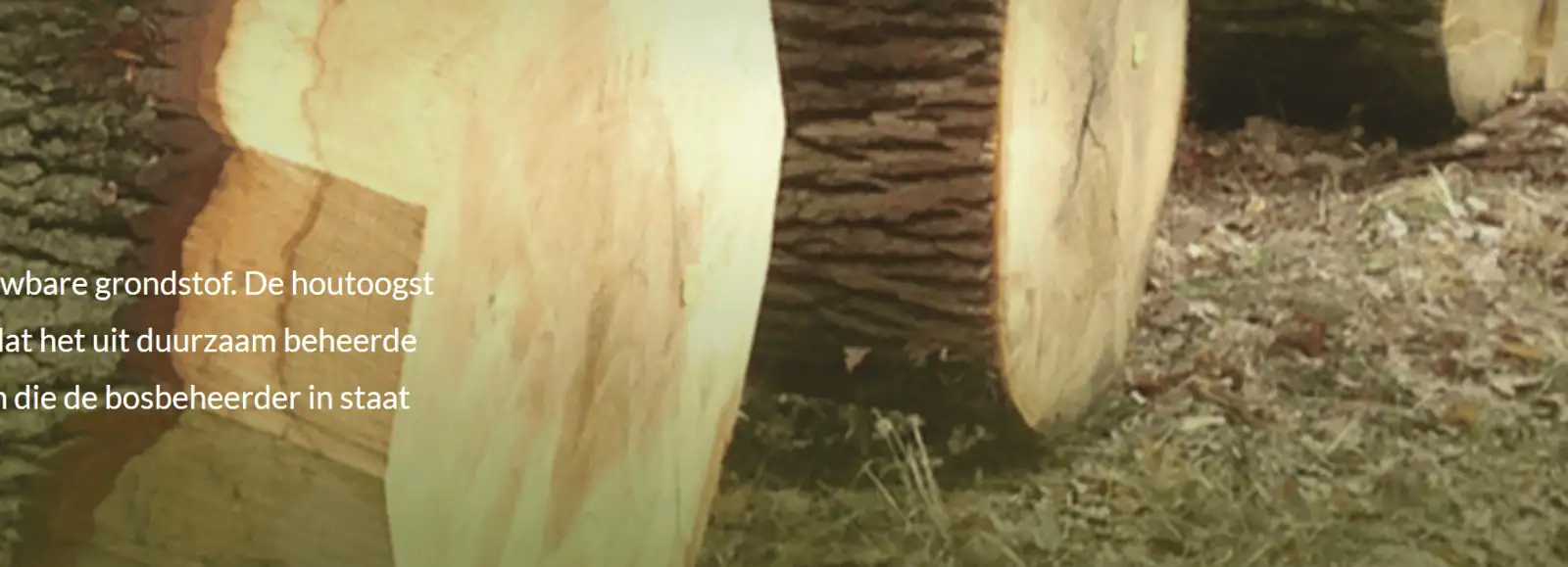 hout