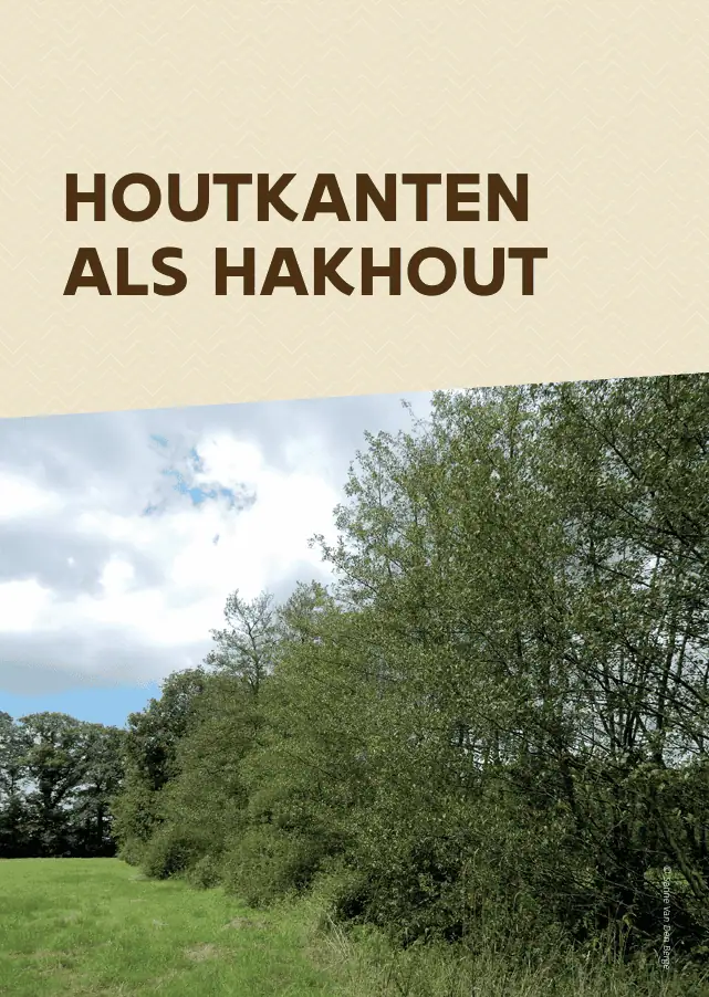 houtkanten als hakhout