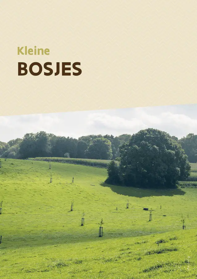facsheet kleine bosjes