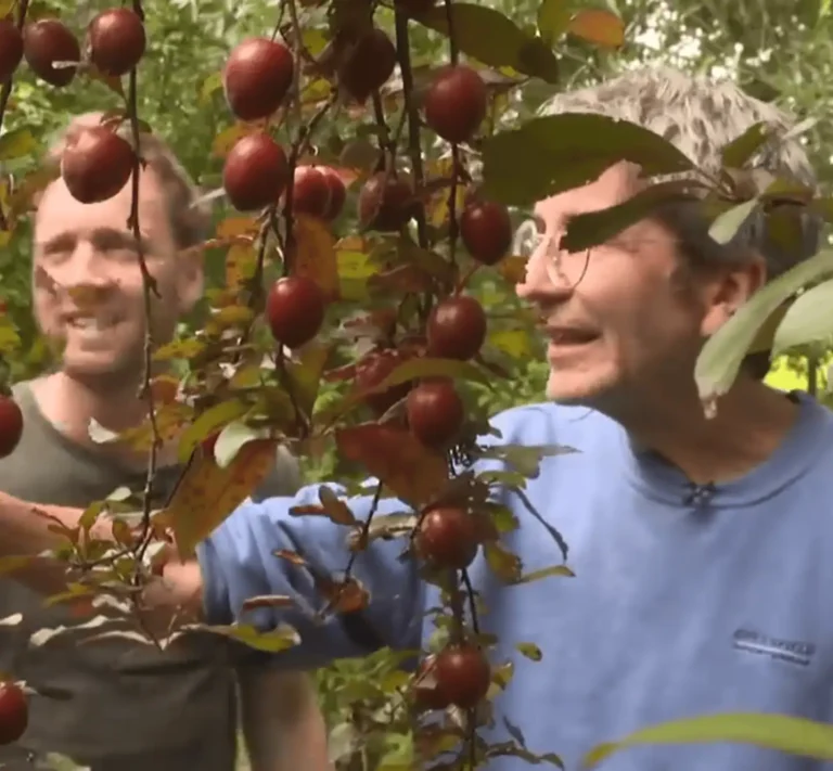 klokhuis voedselbos toekomst