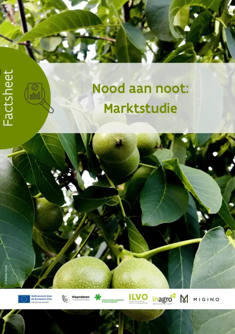 nood aan noot marktstudie