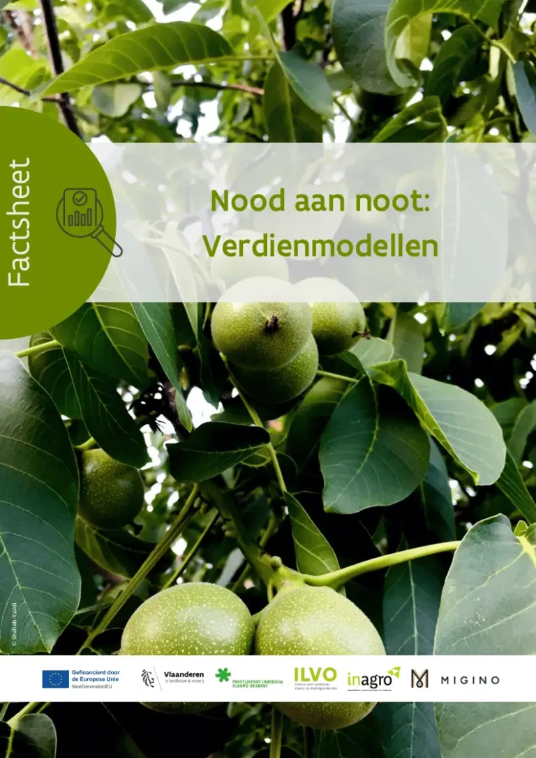 verdienmodellen noot