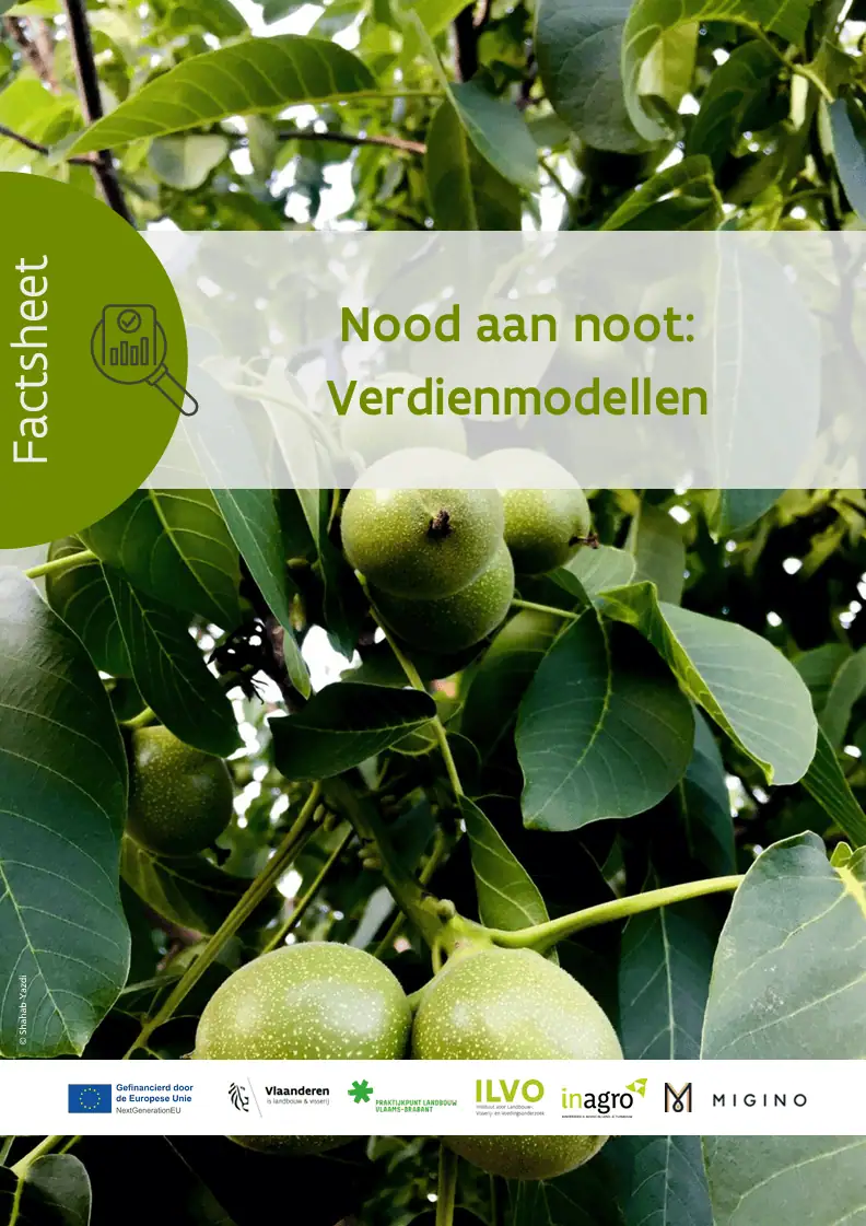 verdienmodellen noot