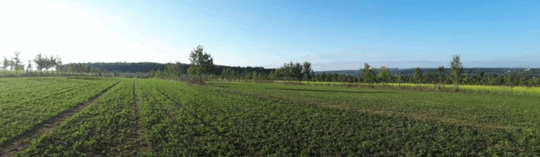 Agroforestry excursie