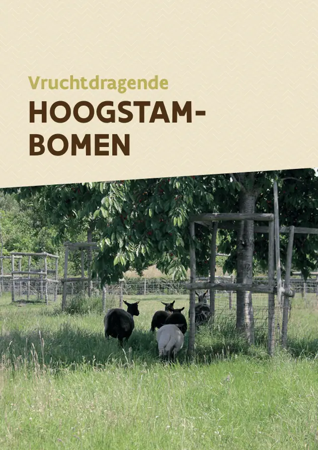 vruchtdragende hoogstambomen