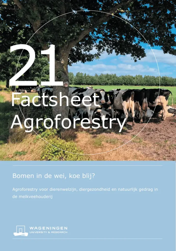 Boom in de wei koe blij