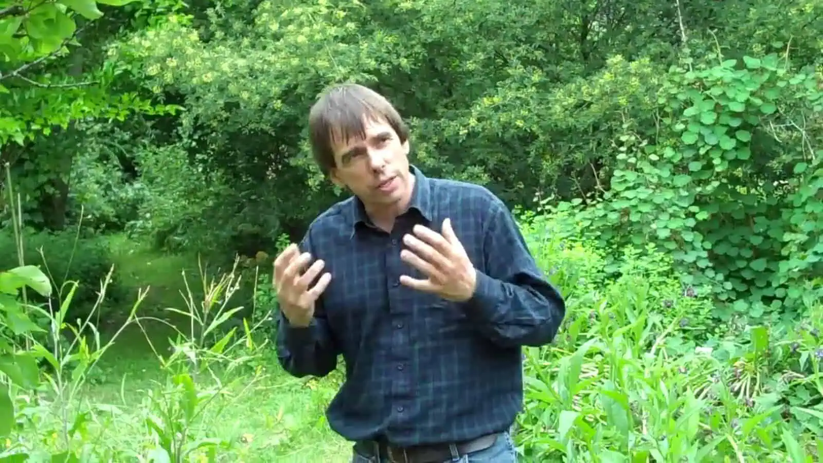 Crawford forest garden