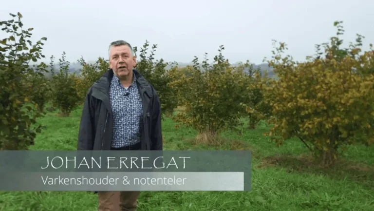 Notenteelt in Vlaanderen video