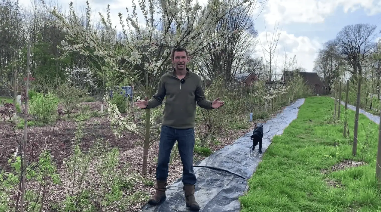 Voedselbos oogst na 3 jaar