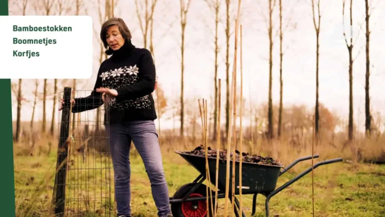 VBNL bescherming aanplant