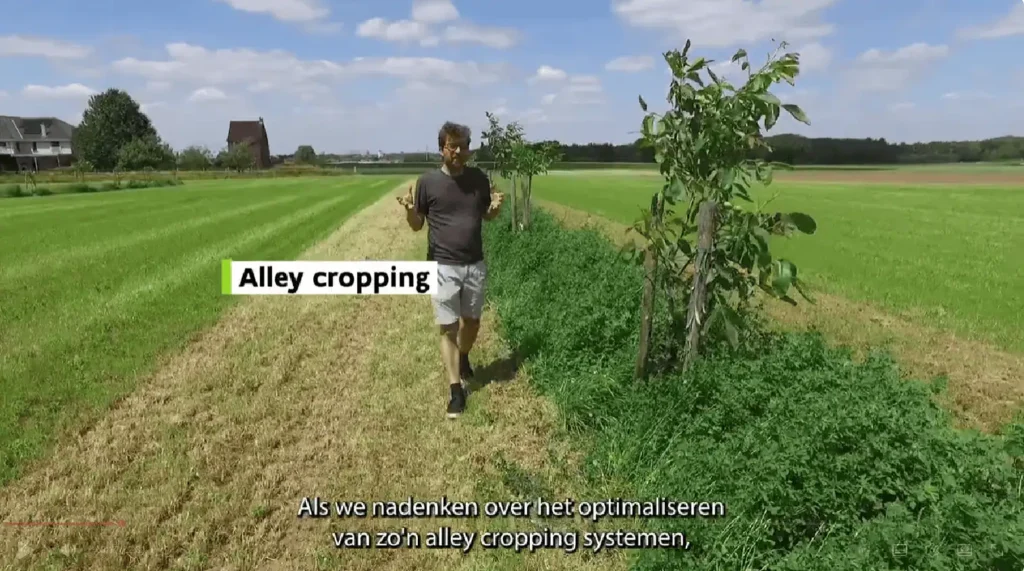 Video alley cropping ILVO