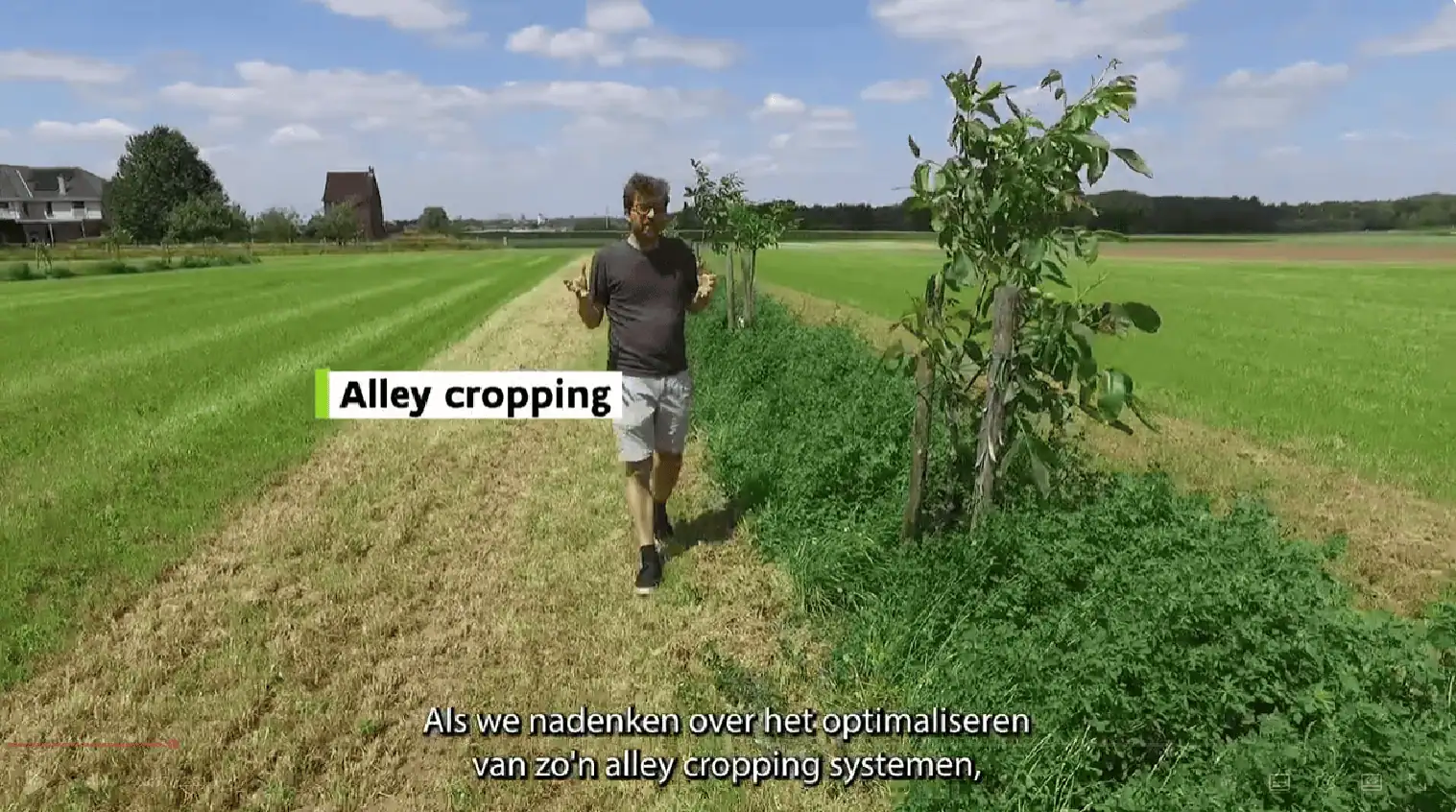 Video alley cropping ILVO