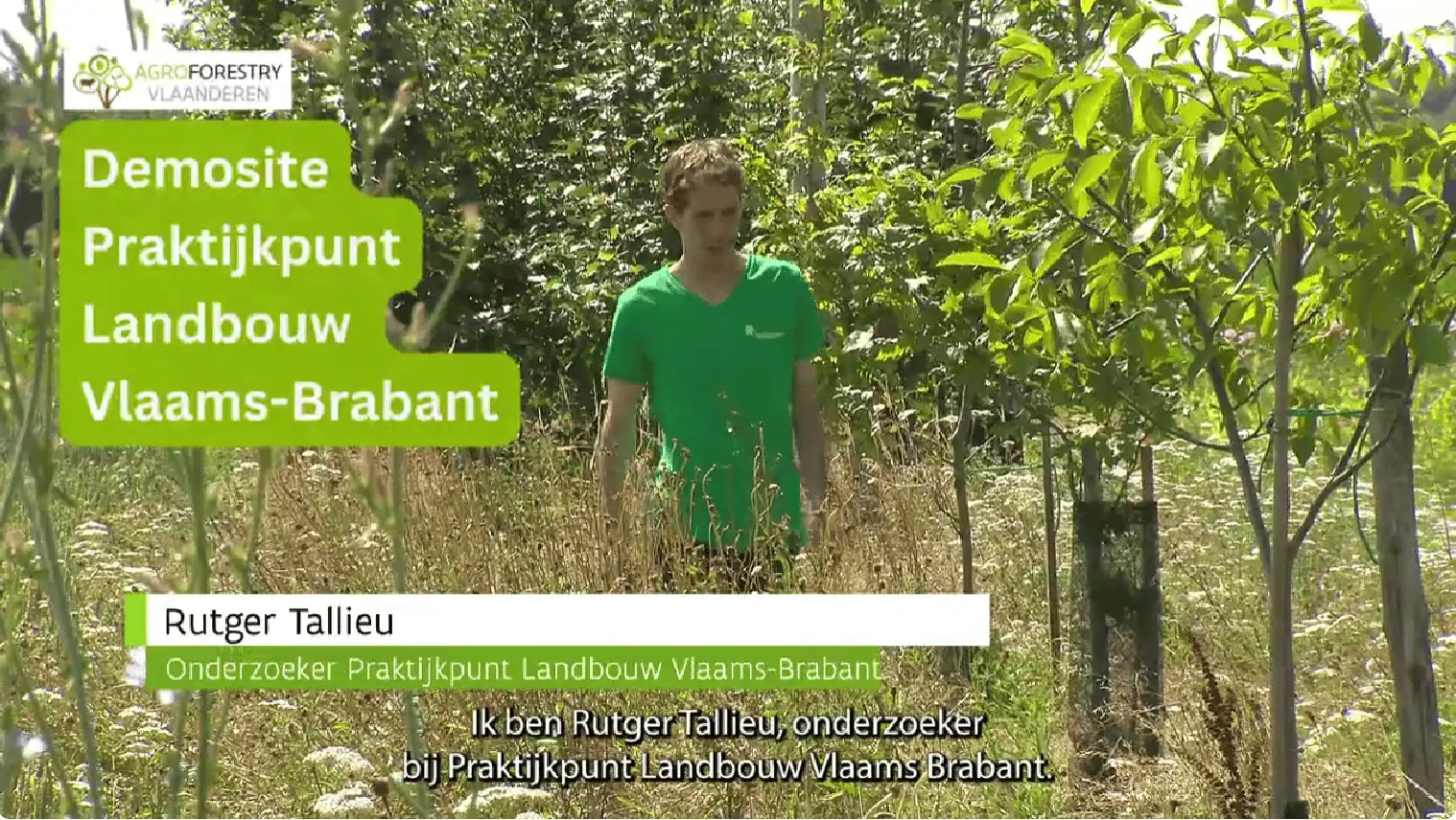 Video Agroforestry demosite Praktijkpunt Landbouw Vlaams-Brabant
