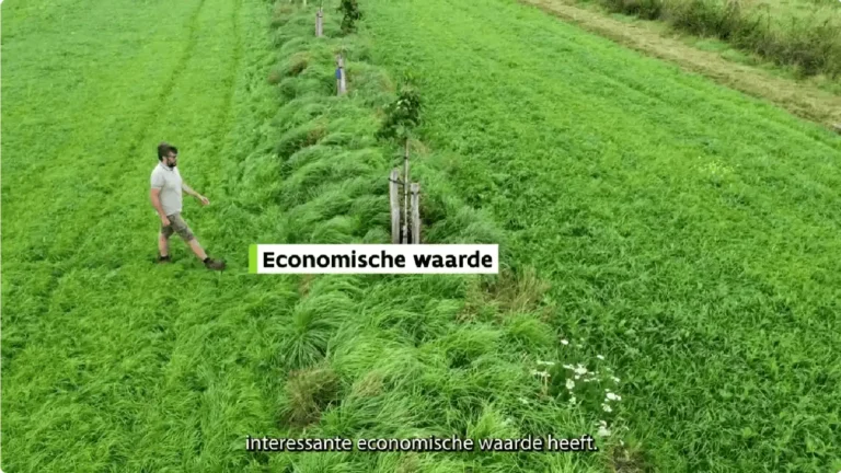 Video demosite inagro