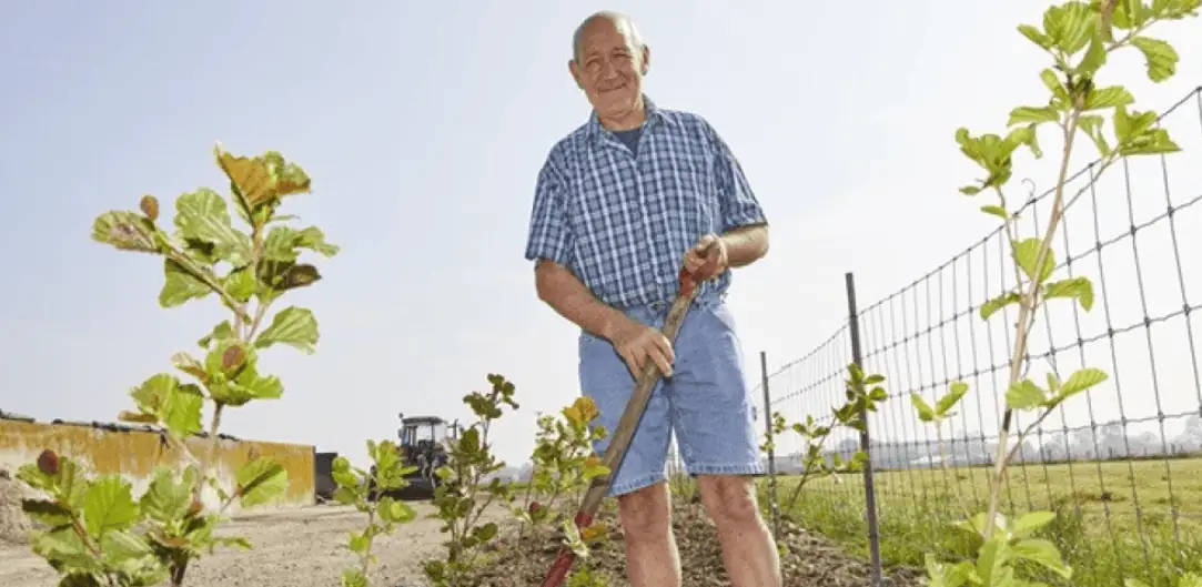 Vleesvee carbon farming