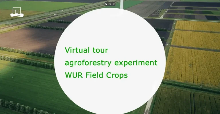 WUR agroforestry farm tour