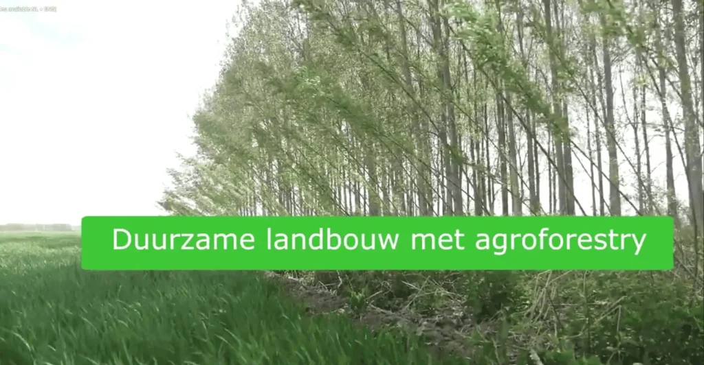 WUR intro agroforestry