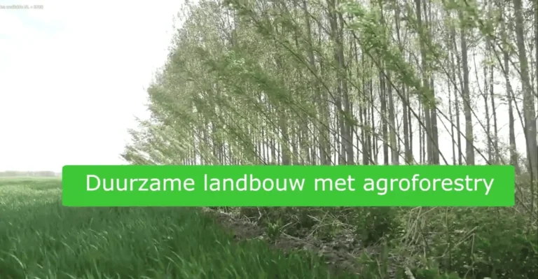 WUR intro agroforestry