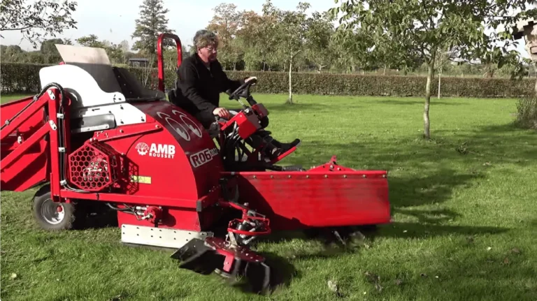 Walnoten oogst en verwerking veld 4