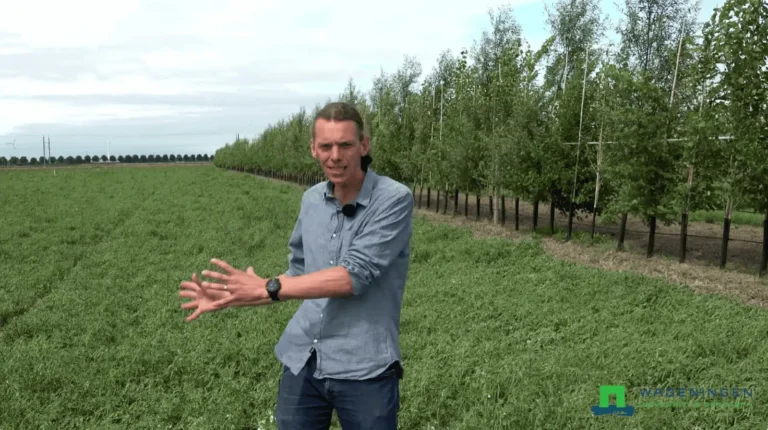 afstand en boomvorm proeven