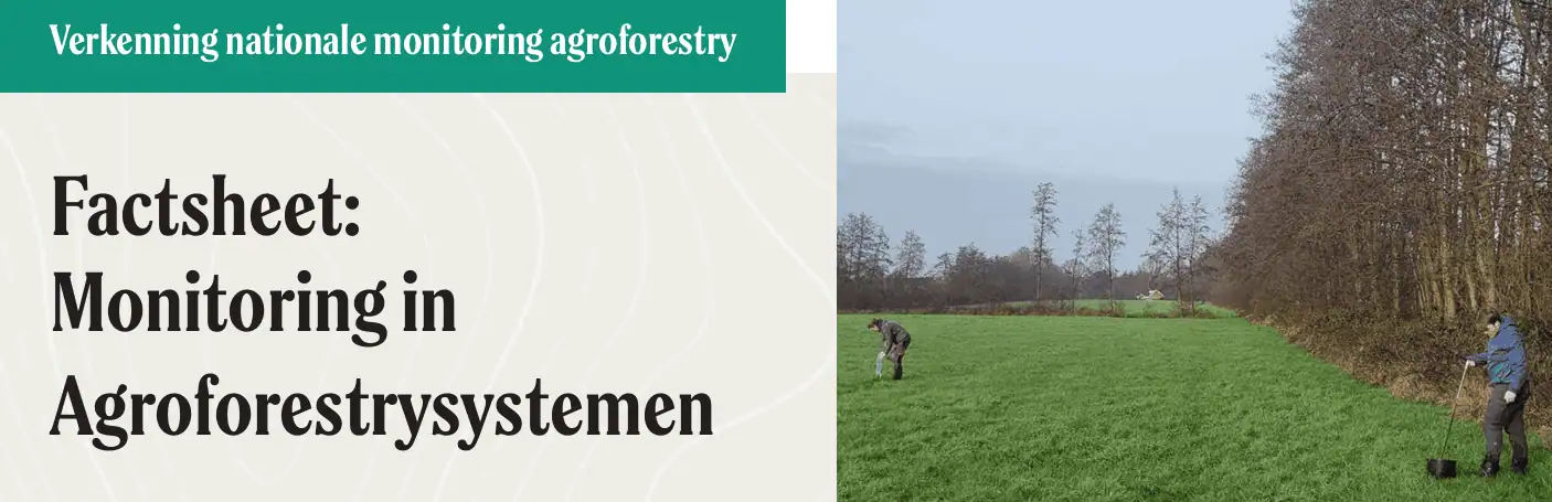 monitoring in agroforestry