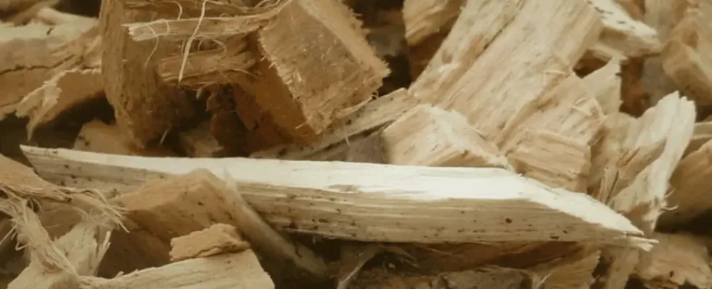 oogstbaar landschap: biomassa