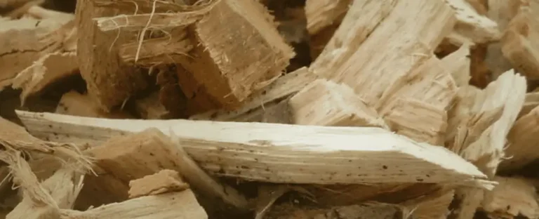 oogstbaar landschap: biomassa