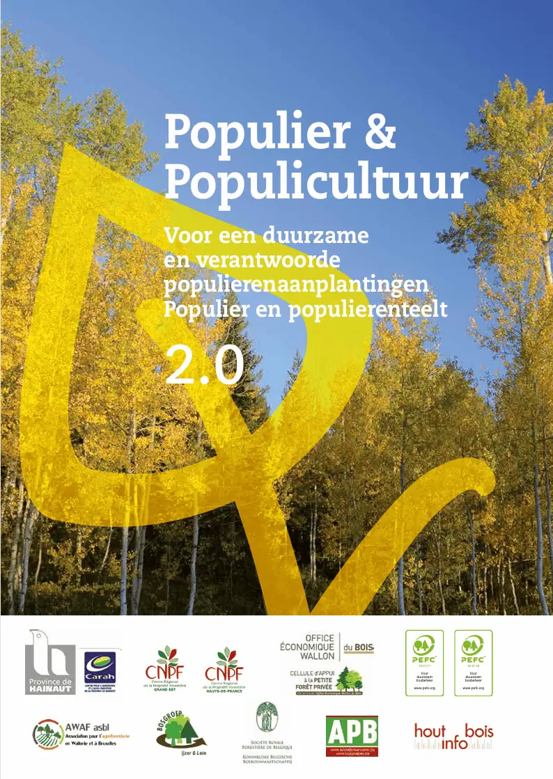 Populier en populicultuur