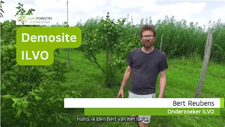 video demosite kippen hazelnoten ILVO
