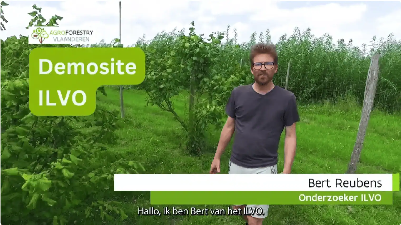 video demosite kippen hazelnoten ILVO