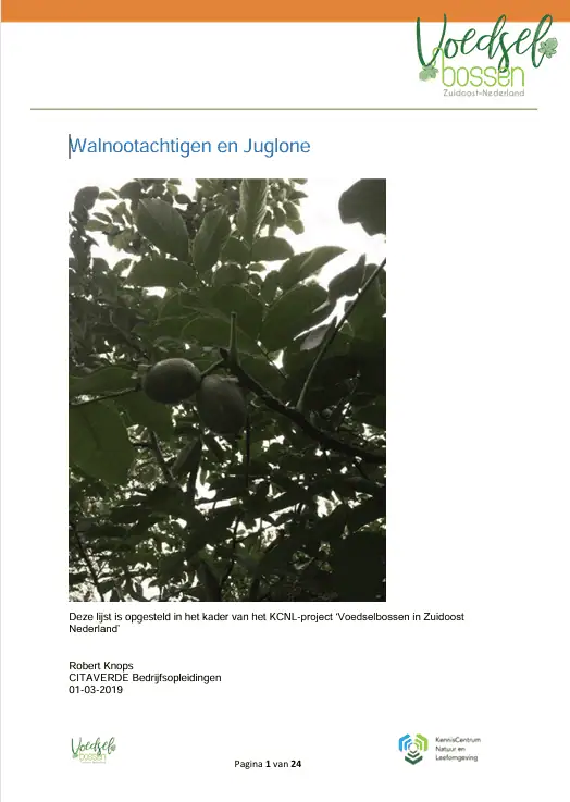 walnootachtigen en juglone