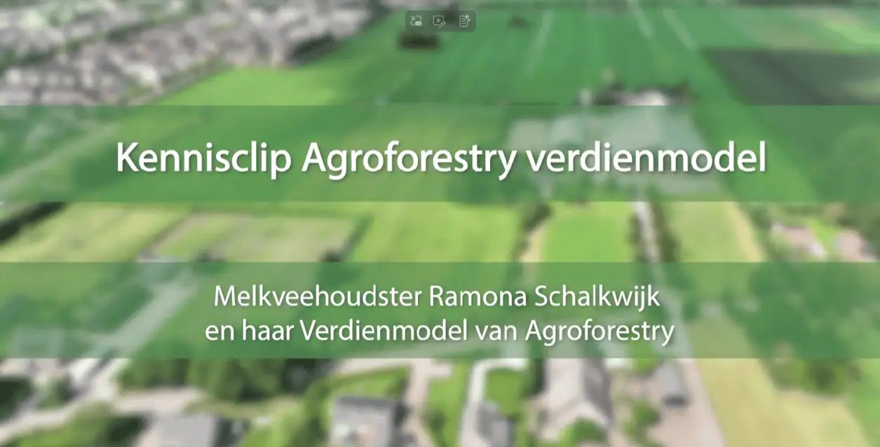 Agroforestry verdienmodel Ramona Schalkwijk