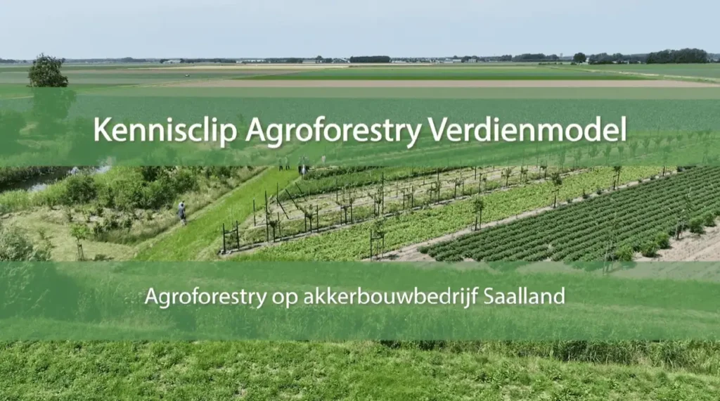 Agroforestry verdienmodel akkerbouw Saalland