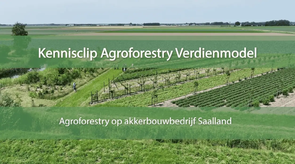 Agroforestry verdienmodel akkerbouw Saalland